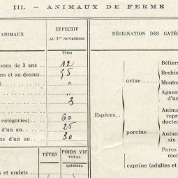 Questionnaire de statistique agricole annuelle de Cond-ls-Herpy en 1938 : tat des animaux de ferme (cote 7M 2)