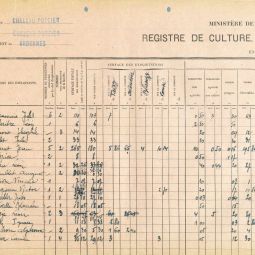 Statistiques agricole annuelle de Chteau-Porcien en automne 1942 : liste nominatives des exploitants et composition de leurs exploitations (cote 56W 32)