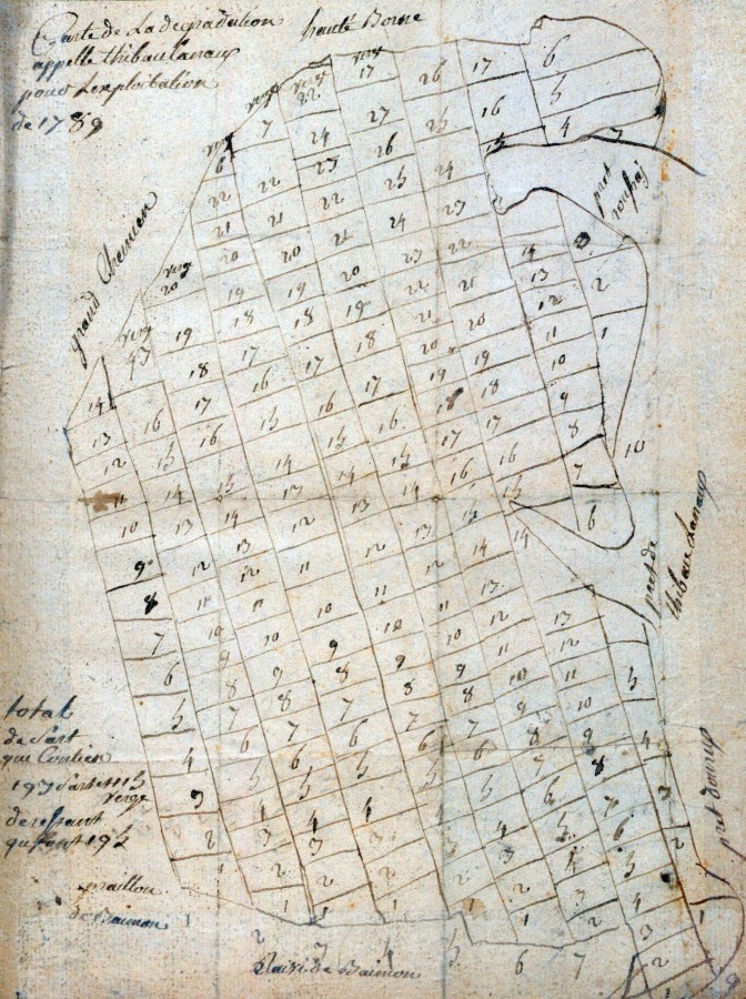 Carte des sarts (coupe de bois) tirés dans une portion de forêt en 1789, cote DD1