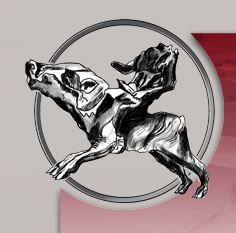 Logo SHA